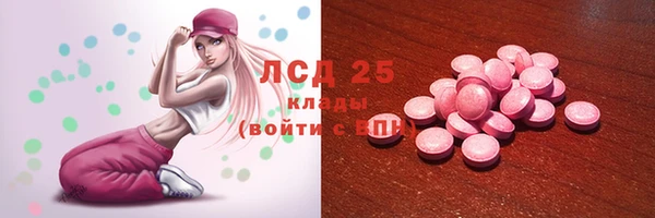 стаф Тихвин