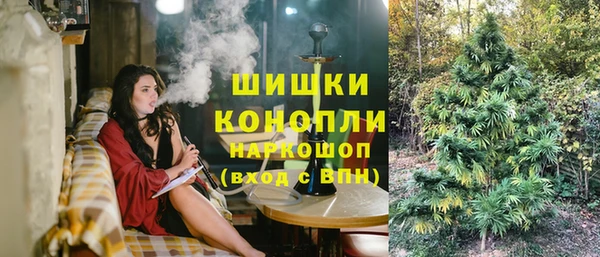 стаф Тихвин