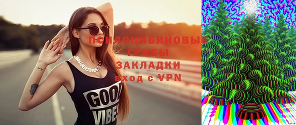 крисы Тобольск
