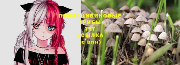 стаф Тихвин